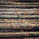Illustration for article titled That the Homeowner may be helped by Hiring a strong Knowledgeable Hardwood Programem/em